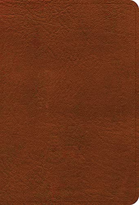 Nasb Large Print Compact Reference Bible, Burnt Sienna Leathertouch