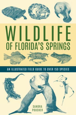 Wildlife Of Florida's Springs