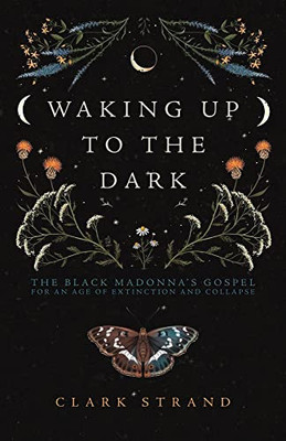 Waking Up To The Dark: The Black Madonna's Gospel For An Age Of Extinction And Collapse