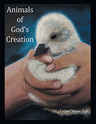 Animals Of God's Creation