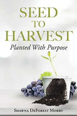 Seed To Harvest: Planted With Purpose