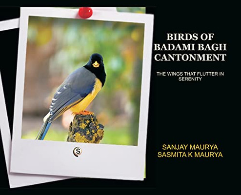 Birds Of Badami Bagh Cantonment