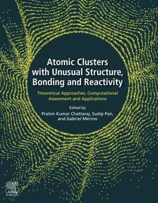 Atomic Clusters with Unusual Structure, Bonding and Reactivity: Theoretical Approaches, Computational Assessment and Applications