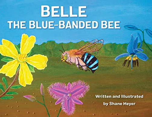 Belle The Blue-Banded Bee