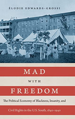 Mad with Freedom: The Political Economy of Blackness, Insanity, and Civil Rights in the U.S. South, 18401940 (Jules and Frances Landry Award)