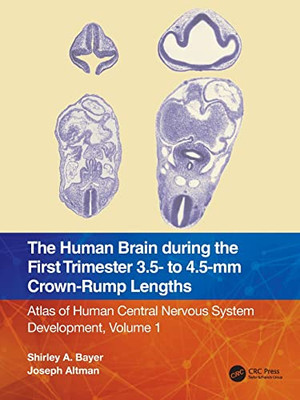 The Human Brain during the First Trimester 3.5- to 4.5-mm Crown-Rump Lengths: Atlas of Human Central Nervous System Development, Volume 1 (Atlas of Human Central Nervous System Development, 1)