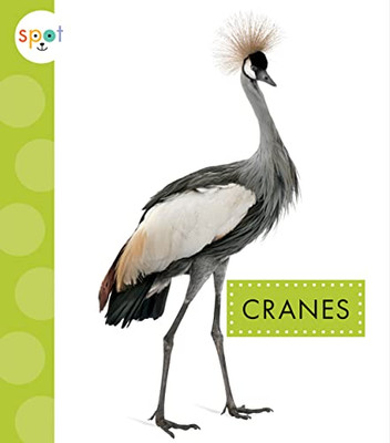 Cranes (Spot Big Birds)