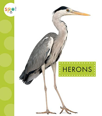 Herons (Spot Big Birds)