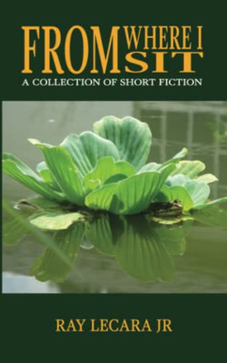 From Where I Sit: A Collection of Short Fiction