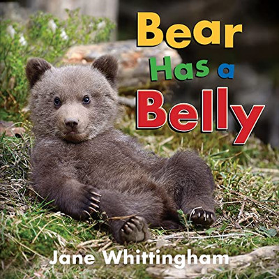 Bear Has a Belly (Big, Little Concepts, 5)