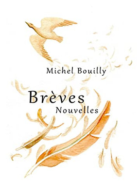 Brèves Nouvelles (French Edition)