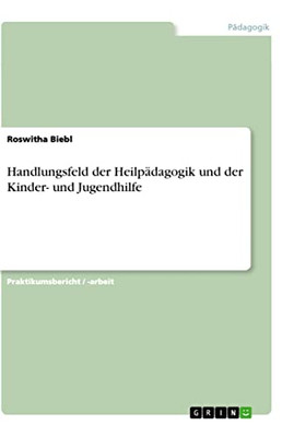 Handlungsfeld der Heilpädagogik und der Kinder- und Jugendhilfe (German Edition)