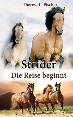 Strider: Die Reise beginnt (German Edition)