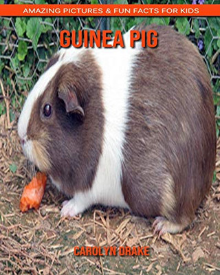 Guinea pig: Amazing Pictures & Fun Facts for Kids