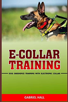 E-COLLAR TRAINING: Dog Obedience Training With Electronic Collar