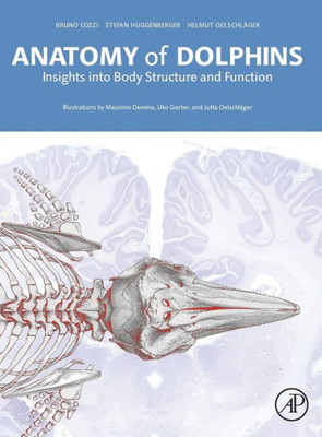 Anatomy Of Dolphins: Insights Into Body Structure And Function