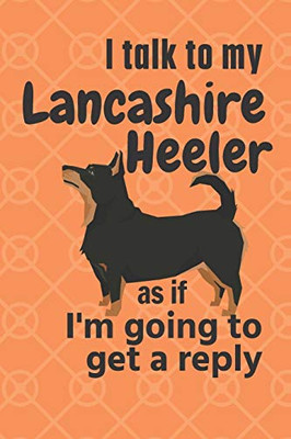 I talk to my Lancashire Heeler as if I'm going to get a reply: For Lancashire Heeler Puppy Fans