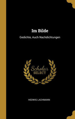 Im Bilde: Gedichte, Auch Nachdichtungen (German Edition)