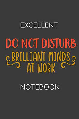 Excellent Notebook: Do not Disturb: Brilliant Minds at Work