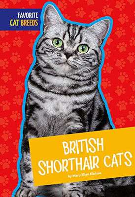 British Shorthair Cats (Favorite Cat Breeds)