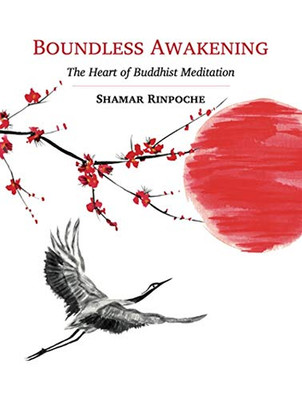 Boundless Awakening: The Heart of Buddhist Meditation - 9782360170173