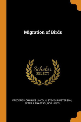 Migration Of Birds