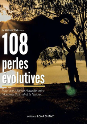 108 Perles Evolutives (French Edition)