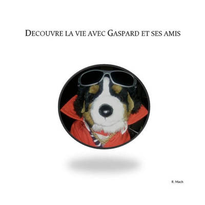 Découvre La Vie Avec Gaspard Et Ses Amis (French Edition)