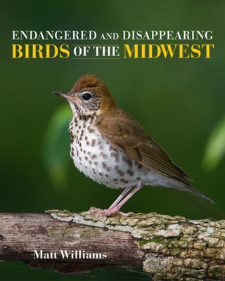 Endangered And Disappearing Birds Of The Midwest