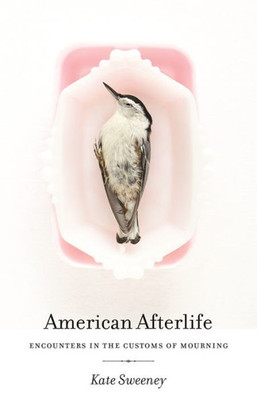 American Afterlife: Encounters In The Customs Of Mourning