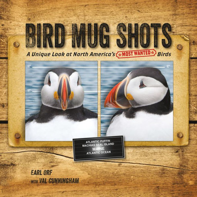 Bird Mug Shots: A Unique Look At North America'S Most Wanted Birds