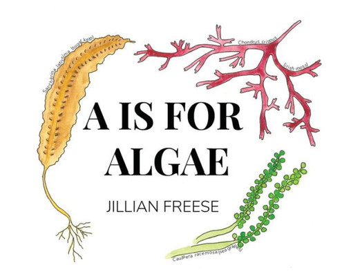 A Is For Algae