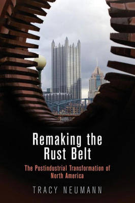 Remaking The Rust Belt: The Postindustrial Transformation Of North America (American Business, Politics, And Society)