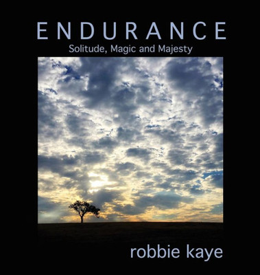 Endurance: Solitude, Magic And Majesty (1) (Robbie Kaye Trilogy)