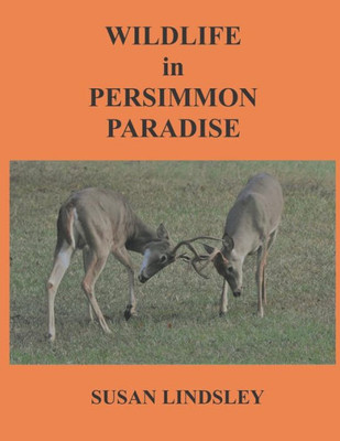 Wildlife In Persimmon Paradise