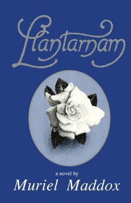 Llantarnam: A Novel