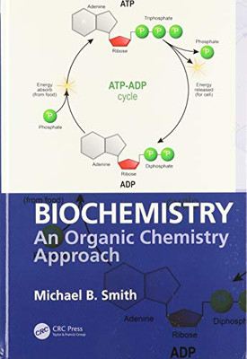 Biochemistry: An Organic Chemistry Approach - 9780815367130