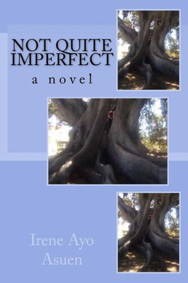Not Quite Imperfect: A Novel