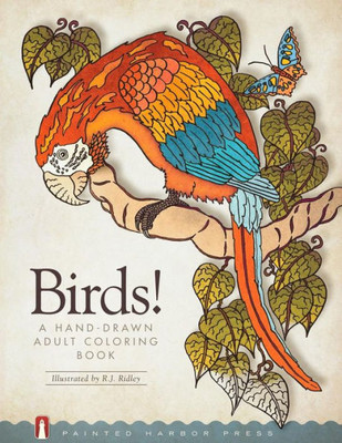 Birds!: A Hand-Drawn Adult Coloring Book