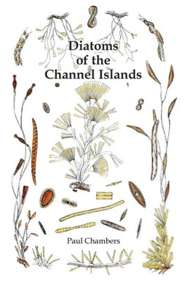 Diatoms Of The Channel Islands