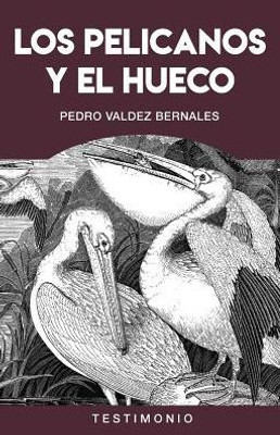 Los Pelicanos Y El Hueco: Violaciones De Los Derechos Humanos Durante La Guerra Interna En El Per· (Spanish Edition)