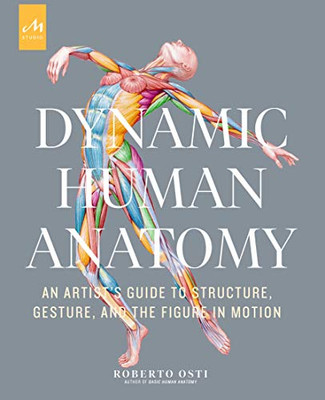 Dynamic Human Anatomy: An Artist's Guide to Structure, Gesture, and the Figure in Motion