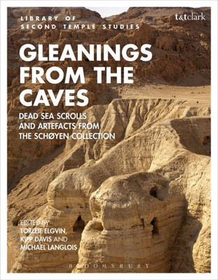 Gleanings From The Caves: Dead Sea Scrolls And Artefacts From The Sch°Yen Collection (The Library Of Second Temple Studies)