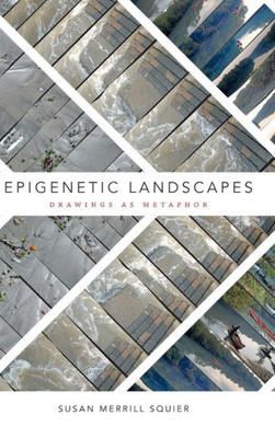Epigenetic Landscapes: Drawings As Metaphor
