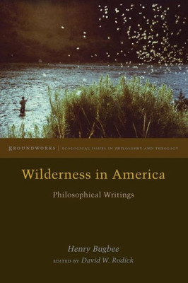 Wilderness In America: Philosophical Writings (Groundworks: Ecological Issues In Philosophy And Theology)