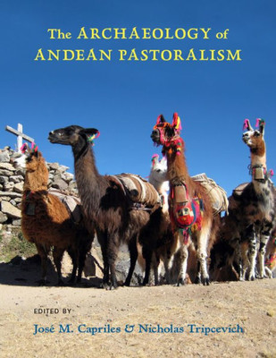 The Archaeology Of Andean Pastoralism