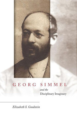 Georg Simmel And The Disciplinary Imaginary