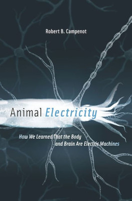 Animal Electricity: How We Learned That The Body And Brain Are Electric Machines
