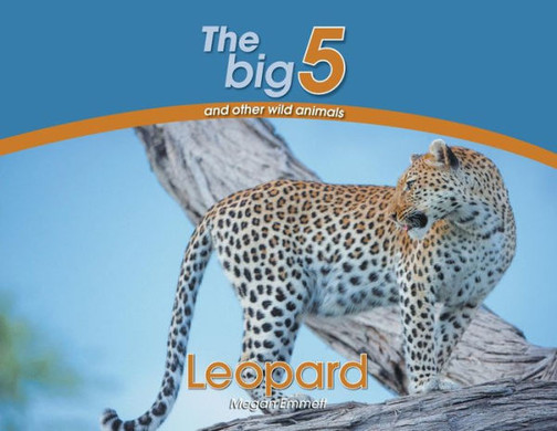 Leopard: The Big 5 And Other Wild Animals