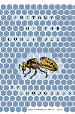 Anatomy Of The Honey Bee